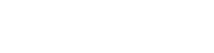 武汉市达圣